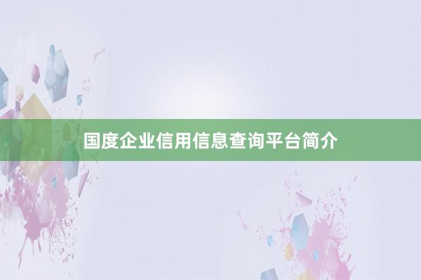 国度企业信用信息查询平台简介